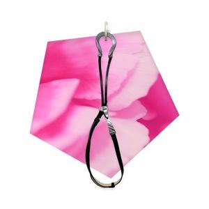 Chico's Belts ( set of 2 )